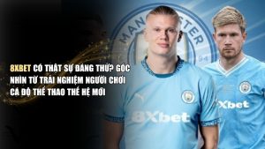 Đánh giá 8XBET uy tín không? Có nên soi kèo tại thể thao 8XBet