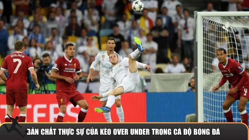 Bản chất thực sự của kèo Over Under