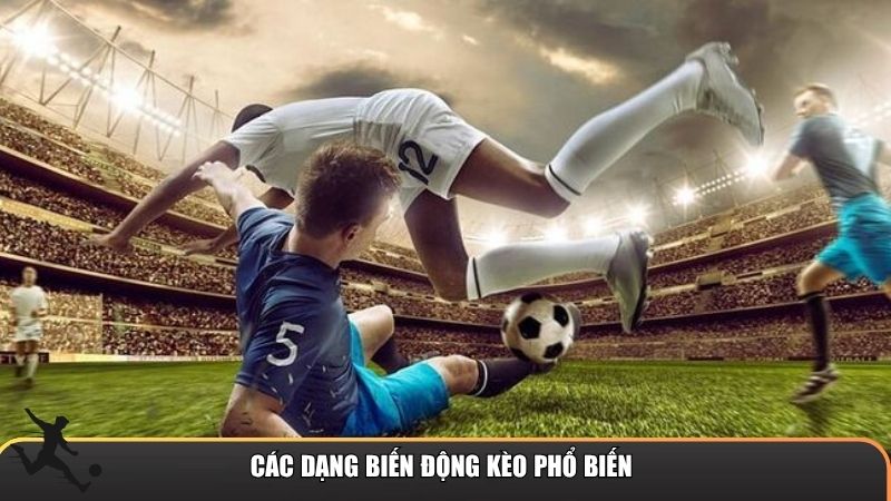 Các dạng biến động kèo hiện đang phổ biến