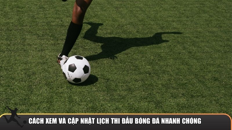 Cách xem và cập nhật lịch thi đấu bóng đá nhanh chóng