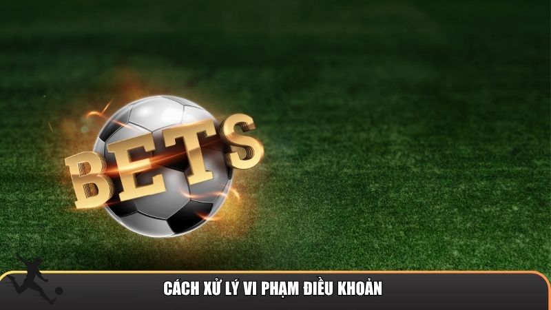 Cách xử lý vi phạm điều khoản