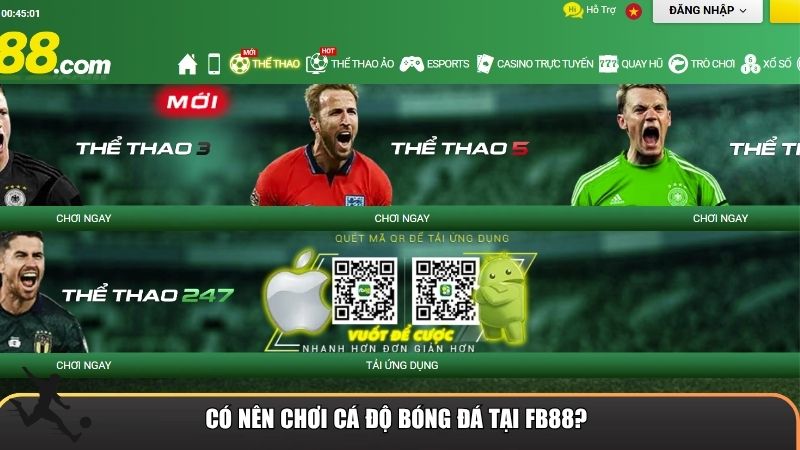 Có nên chơi cá độ bóng đá tại FB88?