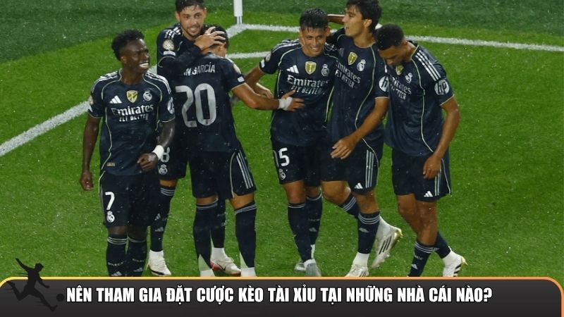 Nên tham gia đặt cược kèo tài xỉu uy tín