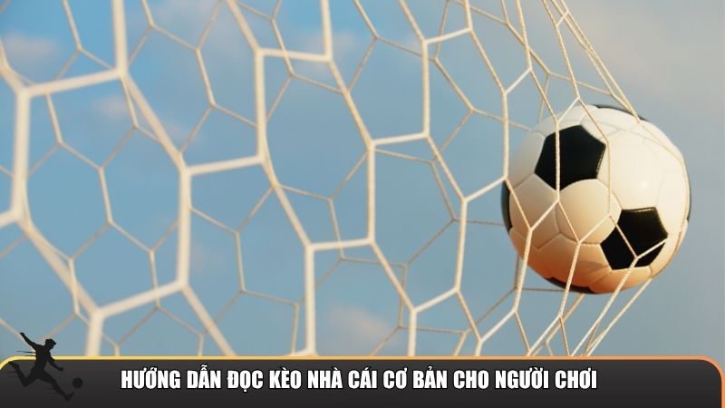 Hướng dẫn đọc kèo nhà cái cơ bản cho người chơi