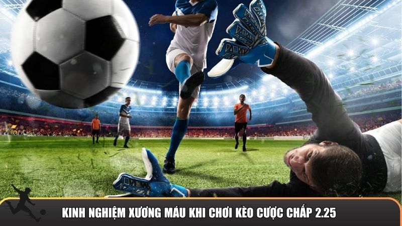 Kinh nghiệm xương máu khi chơi kèo cược chấp 2.25 từ dân chuyên nghiệp
