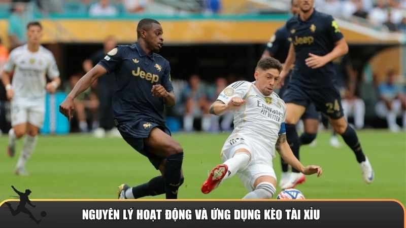 Nguyên lý hoạt động và ứng dụng kèo tài xỉu