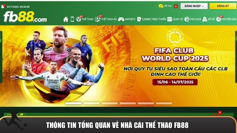 Thông tin tổng quan về nhà cái thể thao FB88