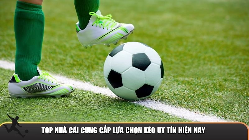 Top nhà cái cung cấp lựa chọn kèo uy tín hiện nay