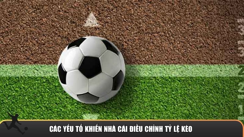 Các yếu tố khiến nhà cái điều chỉnh tỷ lệ kèo