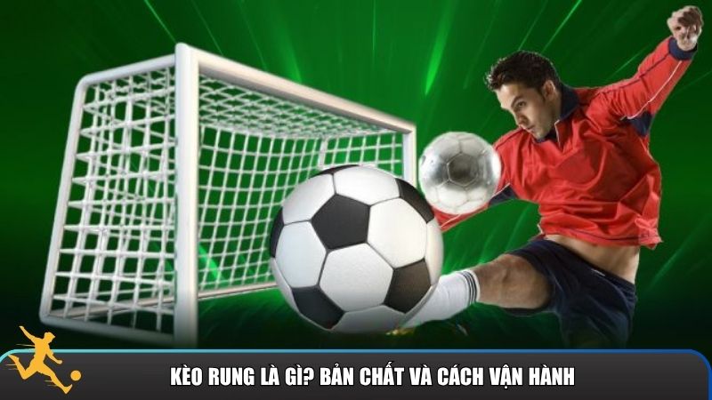 Bạn cần hiểu kỹ thuật về kèo rung và cách hệ thống nhà cái vận hành