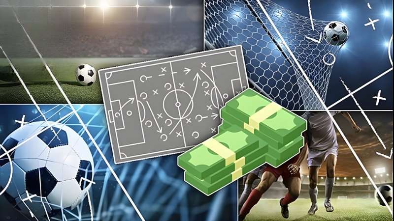 Tránh đặt cược theo hiệu ứng đám đông khi không đủ cơ sở dữ liệu